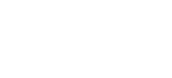 PeakPerformance logo